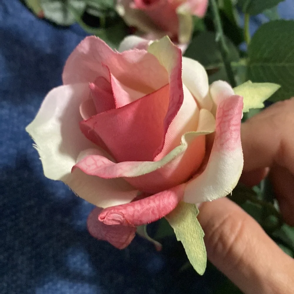3 Pink Rose Stems